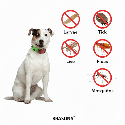 Natural Anti-Flea, Tick, & Mosquito Collar
