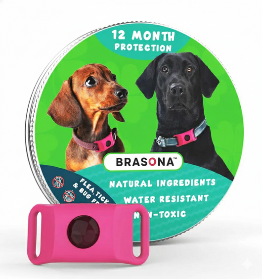 Natural Anti-Flea, Tick, & Mosquito Collar