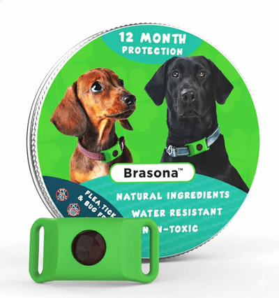 Natural Anti-Flea, Tick, & Mosquito Collar