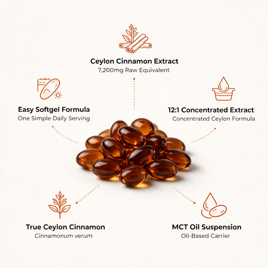 Ceylon Cinnamon 7200mg Equivalent with MCT Oil